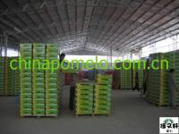 Fujian Pinghe jiayouhao Agricultural product Co.,  Ltd.
