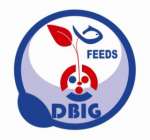 DBIG FEEDS