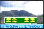 Sirigine Coffee Producers
