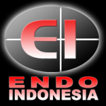 PT. Endo Indonesia