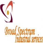 BROAD SPECTRUM INDUSTRIAL SERVICES LTD