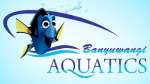 Banyuwangi Aquatics
