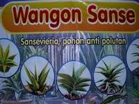 Wangon Sanse