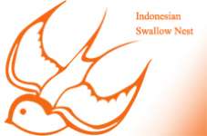 Indonesian Swallow Nest