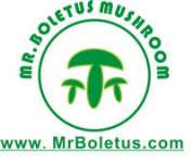 Mr Boletus Mushroom Industry Co.,  Ltd