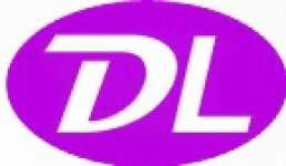 DELONG TECHNOLOGY LIMITED