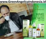Green Angelica Indonesia