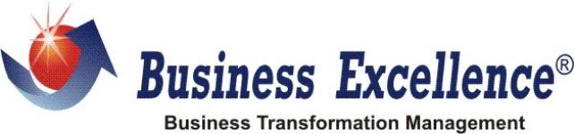 Business Excellence Consulting