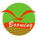 BOOMING TECHNOLOGY LIMITED