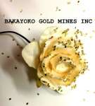 BAKAYOKO GOLD MINES INC.