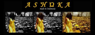 Ashoka Fashion