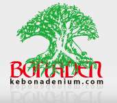 Kebon Adenium - Go Green Indonesia