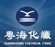 Jieyang Guangdong Chemical Fibre Co.,  Ltd