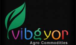Vibgyor Agro Commodity Pvt Ltd