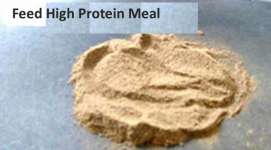 Jual Protein Pakan