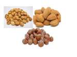 Naturalnuts exports