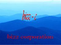 bizz corporation