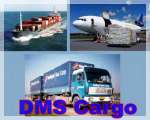 PT Diva Mitra Sinergi ( DMS Cargo)
