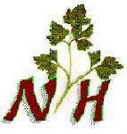 Norhan Office for Exporting Herbs & Seeds