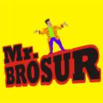 MISTER BROSUR