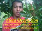 Flora Decoration