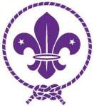 scout_ store