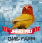 JHN92 PBI LOVEBIRD FARM