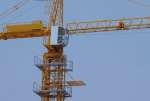 cv sarana mulya/ tower crane