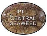 Central Seaweed.ind
