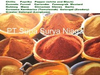 PT Supa Surya Niaga