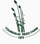 Youngsun Reed Farm