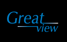 Great View Electronics Co. Ltd