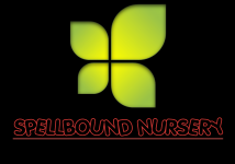 Spellbound Nursery