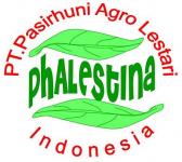PT. Pasirhuni Agro Lestari Indonesia - PT.PHALESTINA