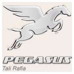 Tali Rafia Pegasus