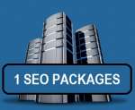 1 SEO PACKAGES