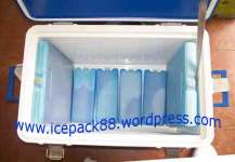 Ice Pack / Cool Pack / Dry Ice Yogyakarta