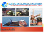 Felindo Energimulya Indonesia,  Pte