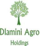 Dlamini Agro Holdings