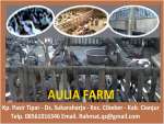 Aulia Farm