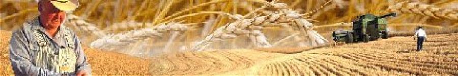 Grain Trade Solution( GTS)
