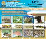 SEAFOOD MARKET SERPONG ( Live Seafood Supplier )