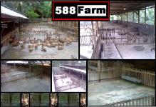 588 Farm