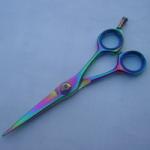 VARIETY SCISSORS