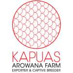 Kapuas Arowana Farm