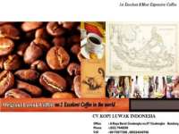 CV.KOPI LUWAK INDONESIA