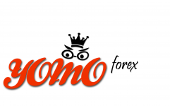yomoforex