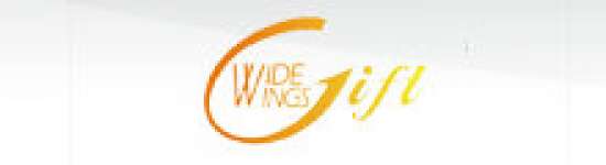 Wide Wings Holding limited