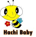 hachi baby