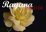 rayana parfum